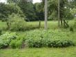 Garten1.jpg