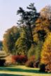 Garten5.jpg